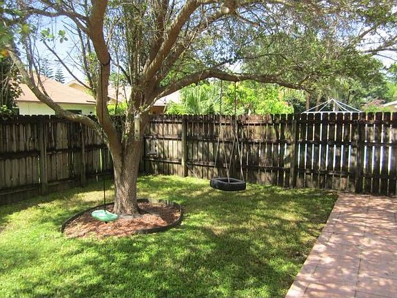 Tree Swing and bird feed