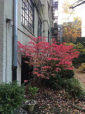 Sold by New Amsterdam Brokerage LLC | media 15