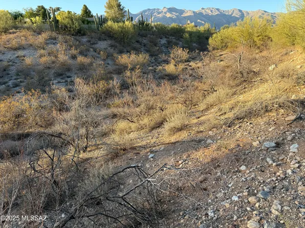 3961 E San Simeon Dr, Tucson, AZ 85718