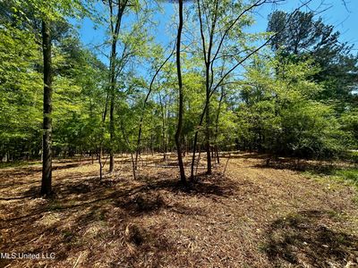 Sundial Rd, Madison, MS, 39110
