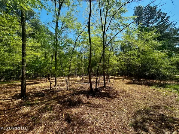 Sundial Rd, Madison, MS 39110