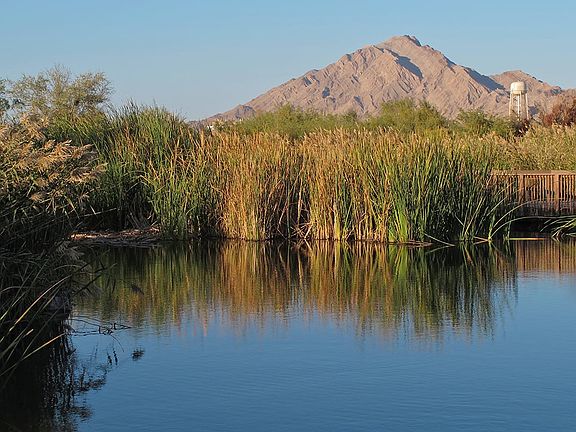 Short drive to Clark County Wetlands Park