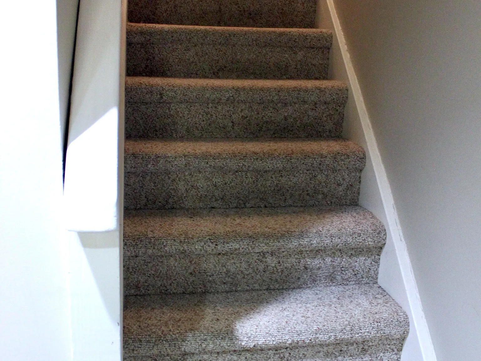 1 bed, $1,450 — Photo 2