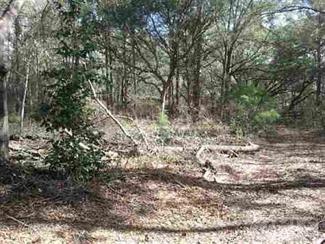 1st image of 360 Lost Creek Ln