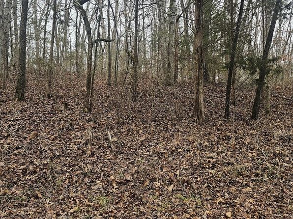 Tbd Union Ridge Drive, Clever, MO 65631
