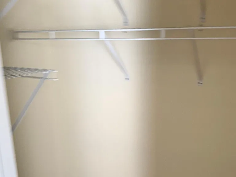 Master Closet 1