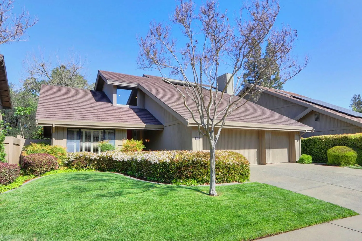 11493 Hesperian Cir photo 1