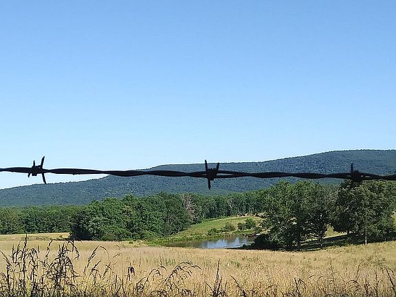View from front porch