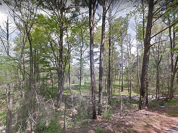 2nd image of 0 Crooked Creek Dr