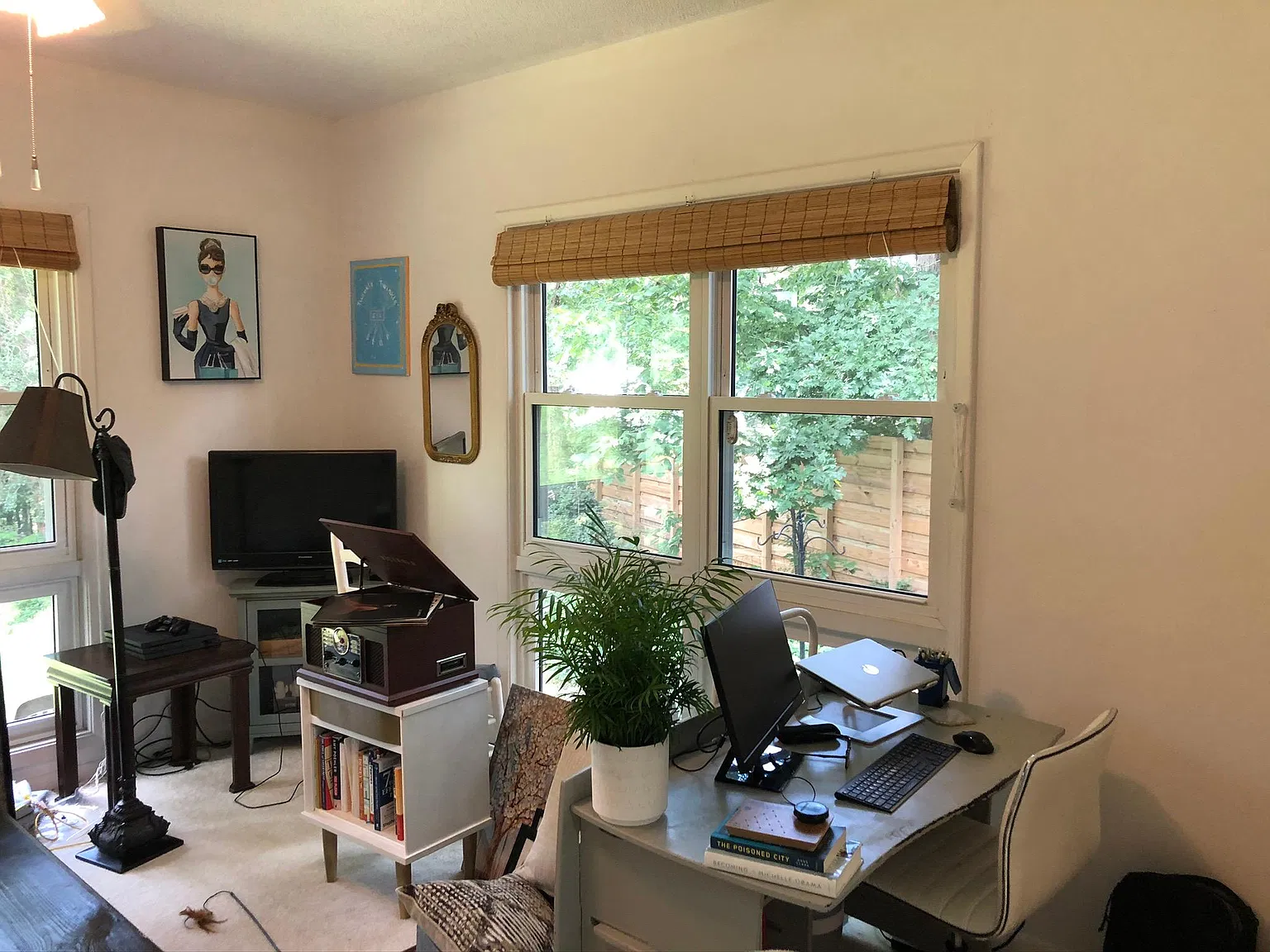 213 Hill St — Photo 3