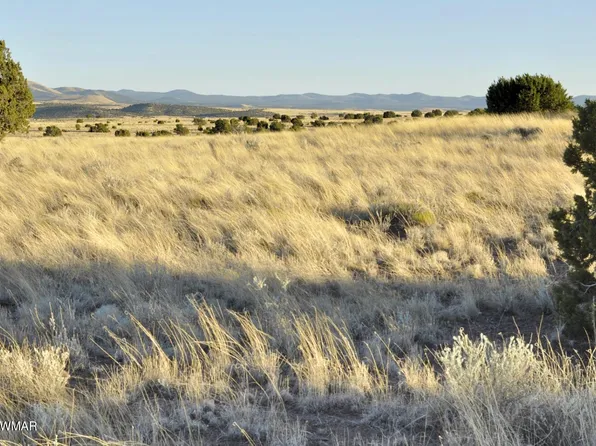 21 County Road 5128, Concho, AZ 85924