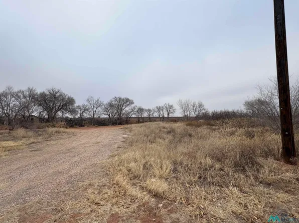 LOT E 1/2 #1, Fort Sumner, NM 88119