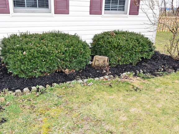 3rd image of 2779 Cross Creek Ave