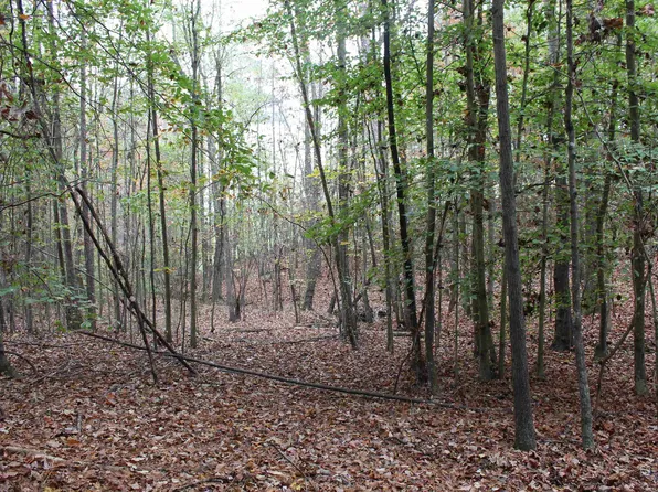 County Road 134 #0, Woodland, AL 36280