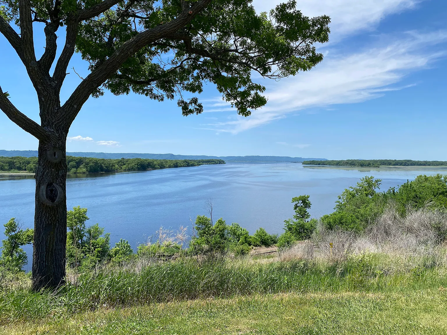 1 bed, 700 sqft, $1,300 — Photo 1