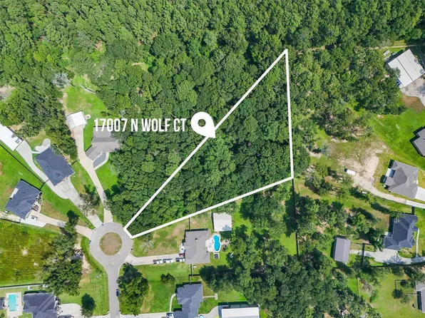 17007 N Wolf Ct, Splendora, TX 77372