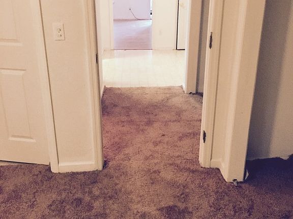 4th image of 1551 Kay Ave APT 2