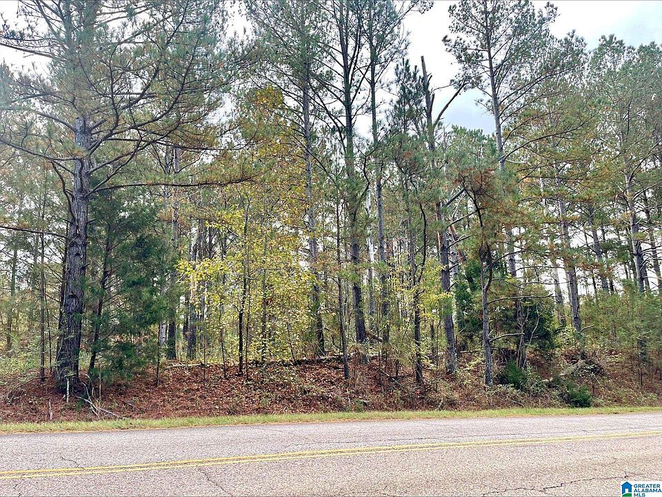 2nd image of Highway 431 Acres #6.04