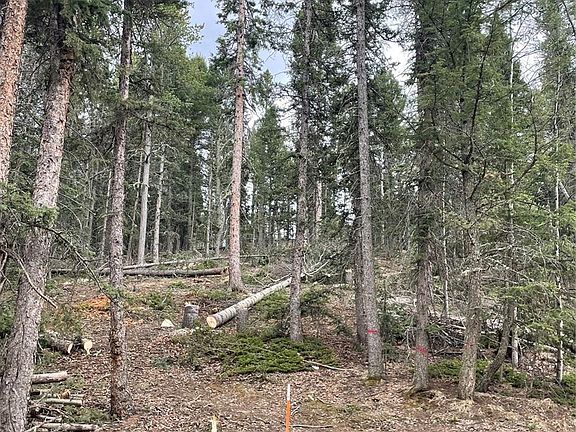 4th image of 222 Banner Trail