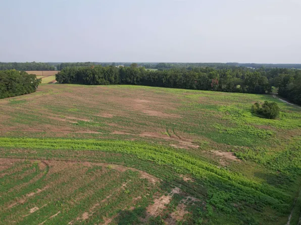85± Acres - Antler Dr, Johnsonville, SC 29555