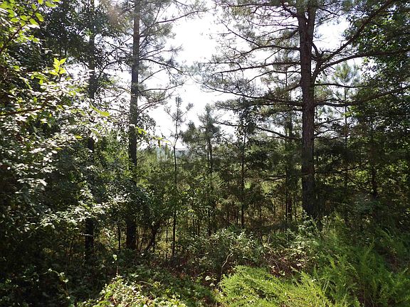 3rd image of 1608 County Road 3594