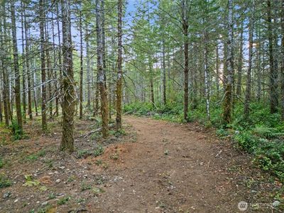 131 E Webb Hill Road, Union, WA, 98592