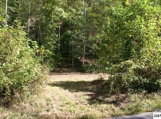 2 Rocky Flats Rd LOT 2B, Cosby, TN 37722