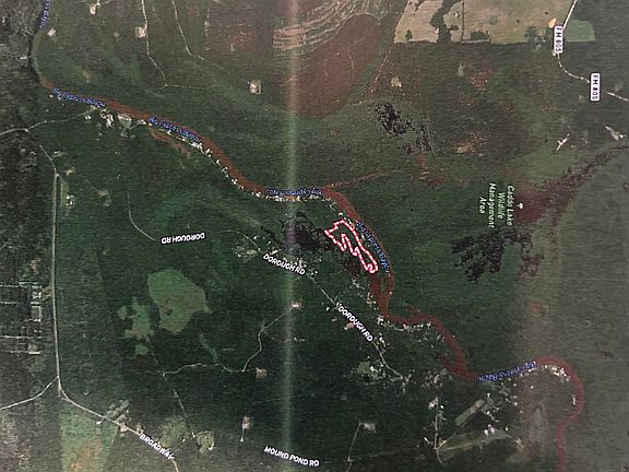 2nd image of Pine Island Rd