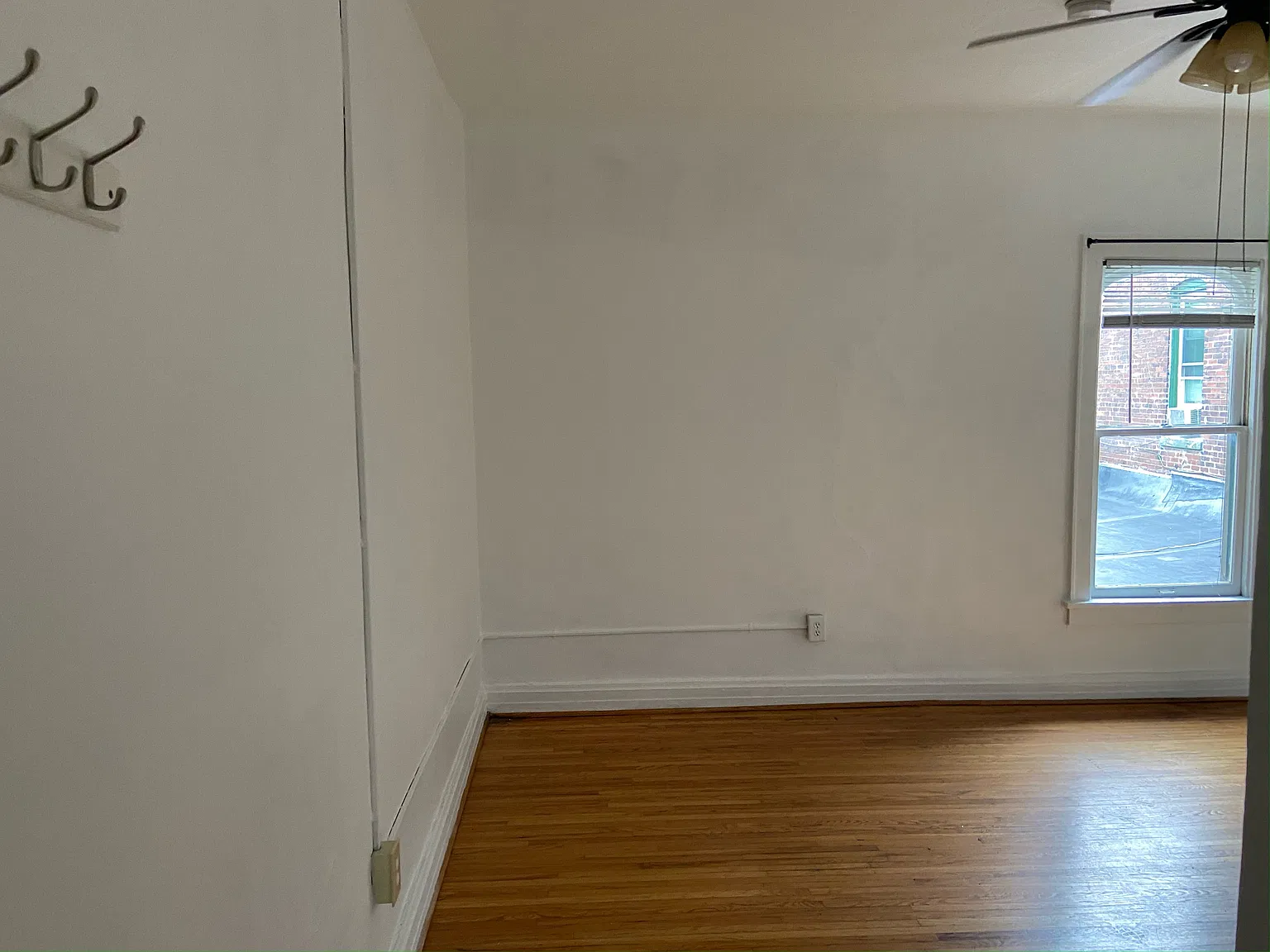 Studio, $800 — Photo 4