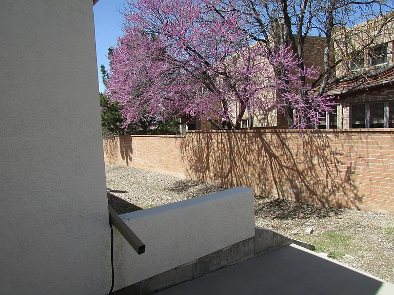 149 Douglas Ln #C — Photo 7