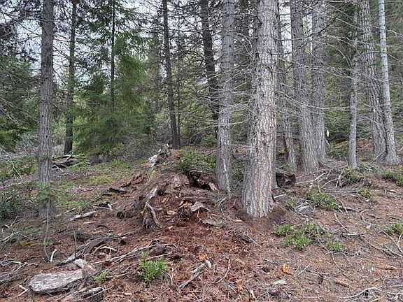 5th image of 6 Royce Pine Rd