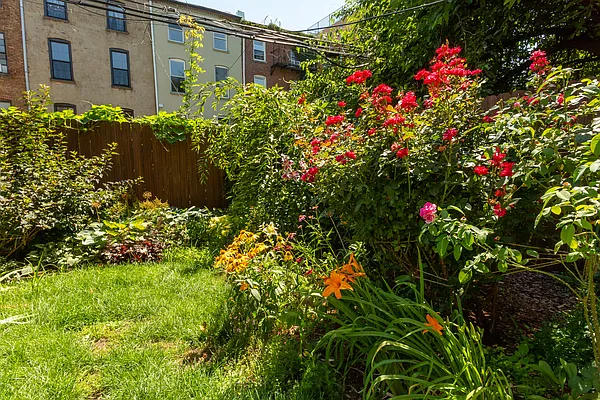 Rented by Compass | media 29