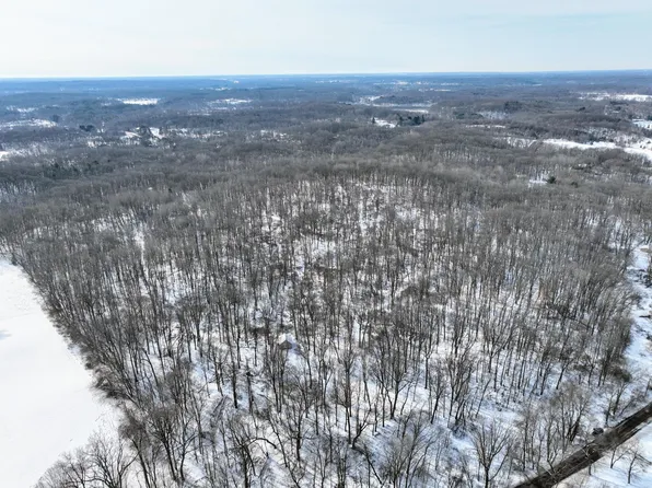 11150 W Dr N, Bellevue, MI 49021