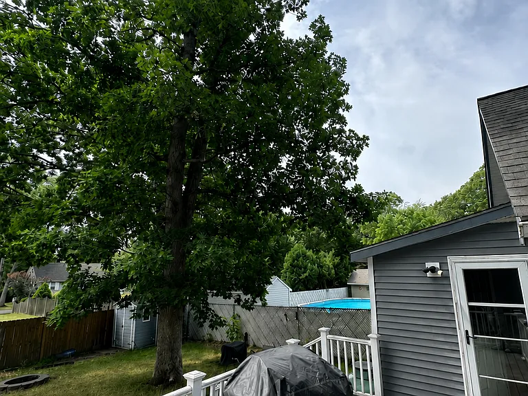 94 Lake St — Photo 3