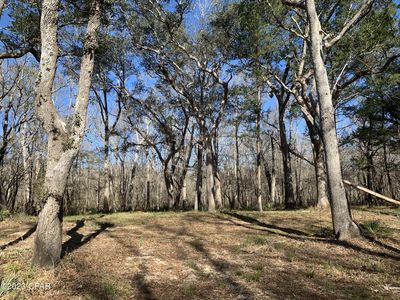 5 Big Cedar Rd, Ponce De Leon, FL, 32455