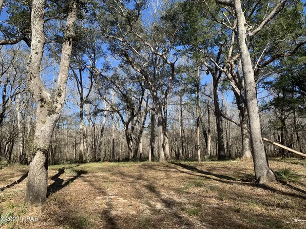 5 Big Cedar Rd, Ponce De Leon, FL 32455