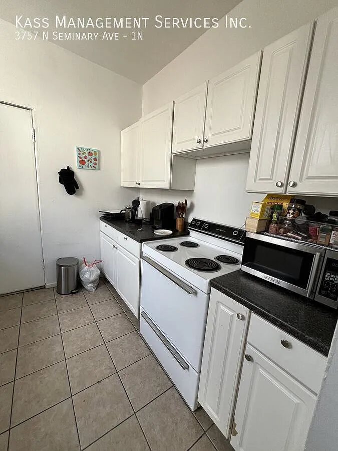 Charming 2 bed 1 bath Apartment Steps from Wrigley — Photo 1