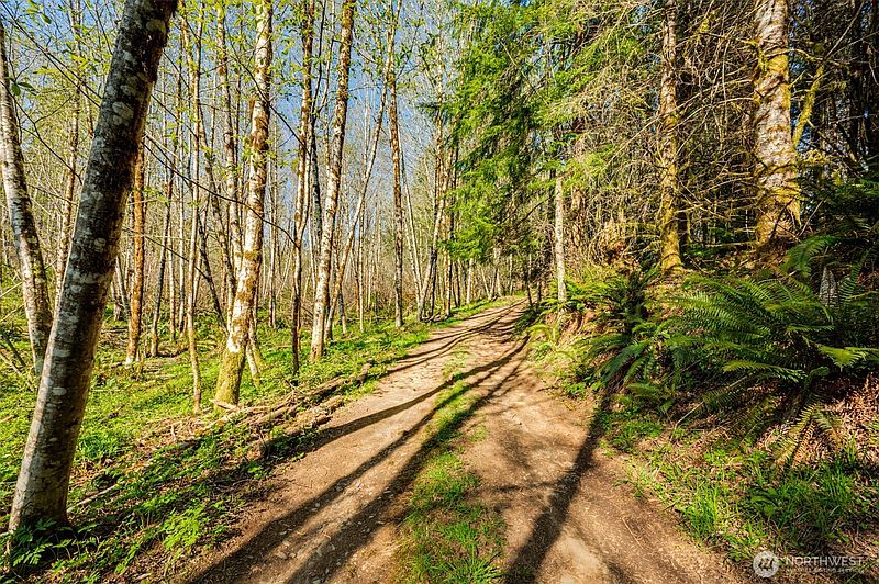 5th image of 0 Buncombe Hollow Road NE