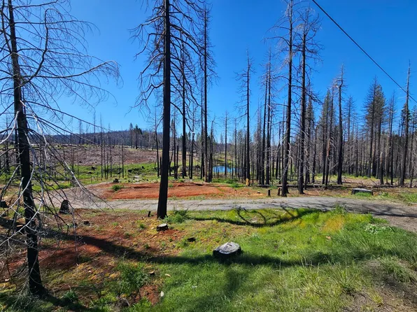 4491 String Canyon Rd, Grizzly Flats, CA 95636