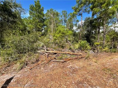 128 Devoe Ave, Lake Placid, FL, 33852