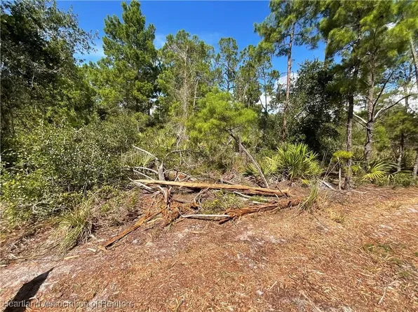 128 Devoe Ave, Lake Placid, FL 33852