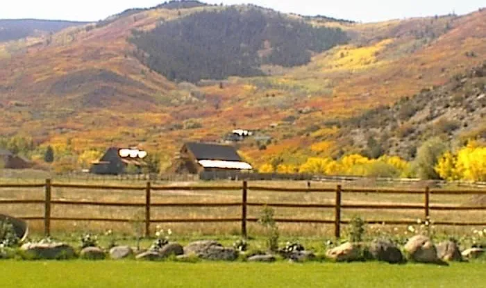 Fall colors