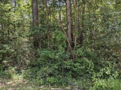 W 6th Ave, Covington, LA, 70433