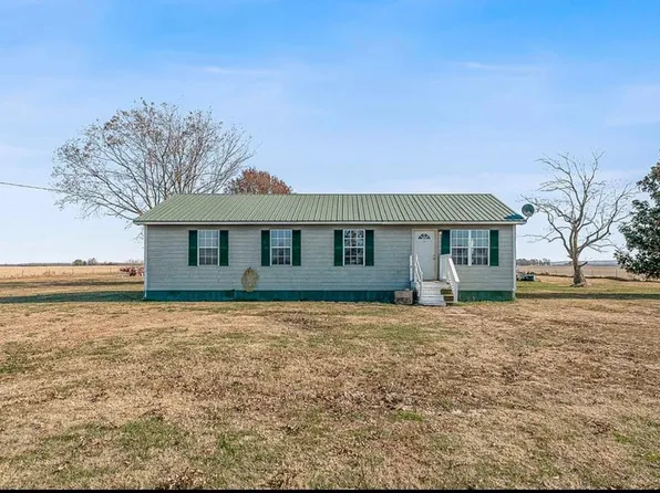 300 Highway 135, Knobel, AR 72435
