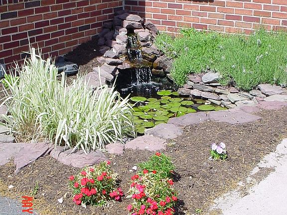 fish pond w/ waterfall