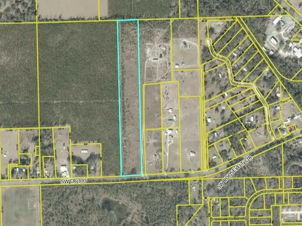 TBD SW CR 300, MAYO, FL 32066