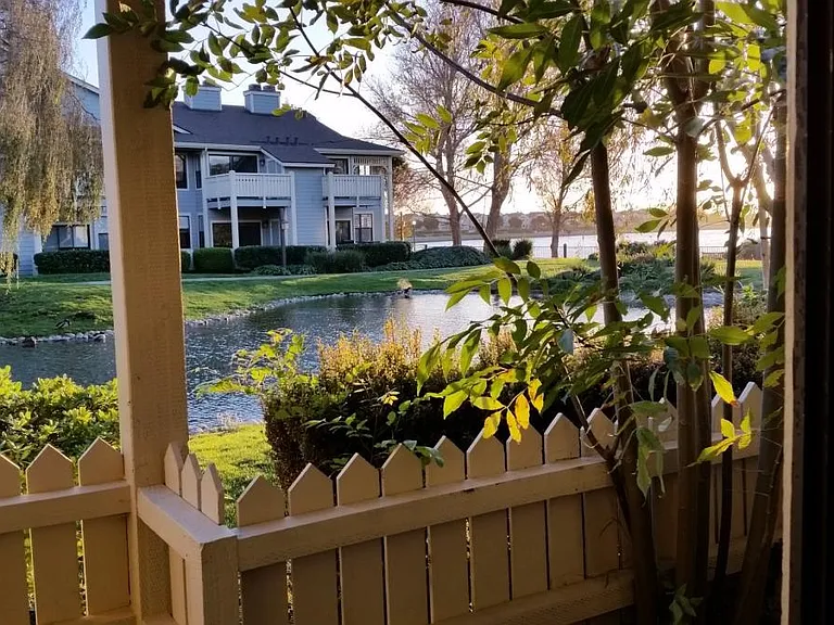 Patio View