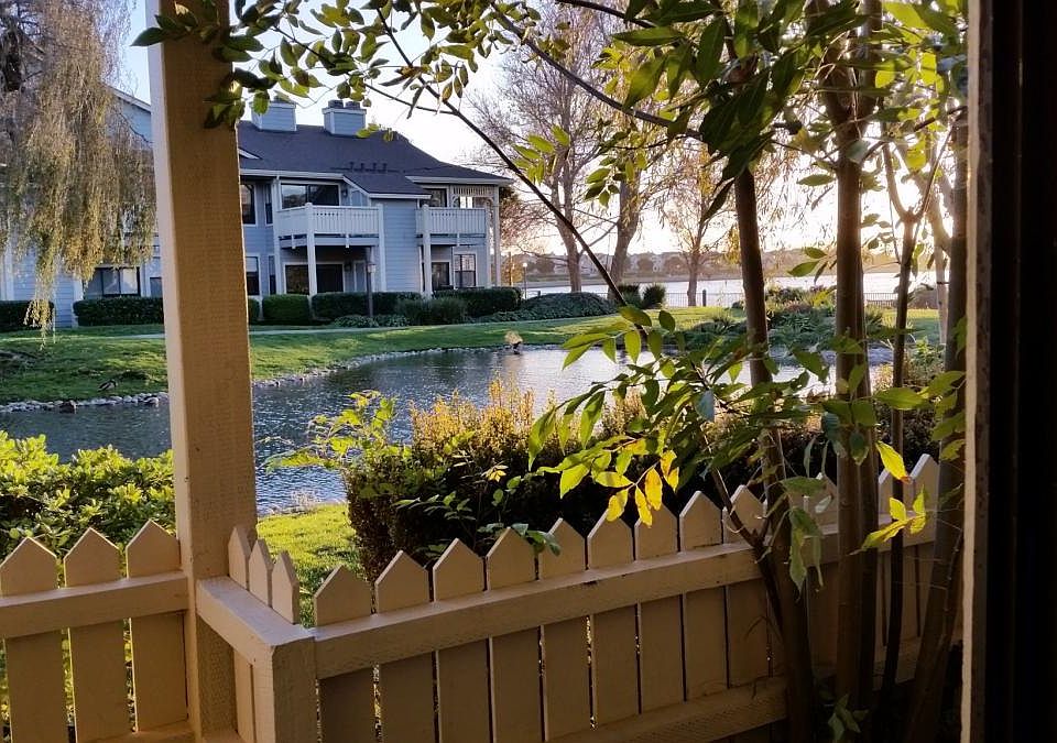 Patio View