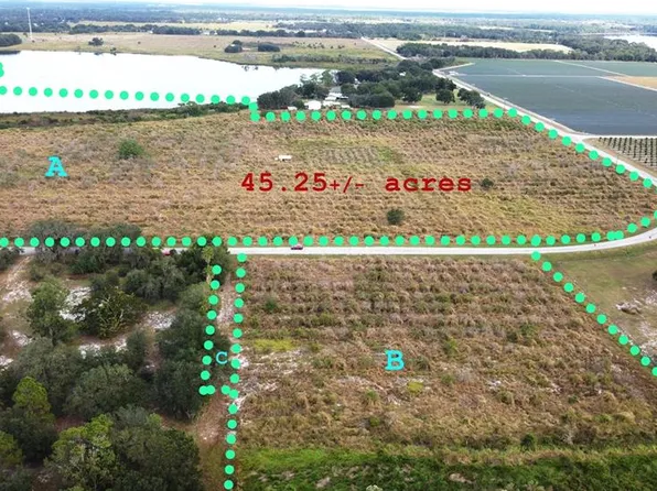 7630 N Lake Buffum Rd, Fort Meade, FL 33841