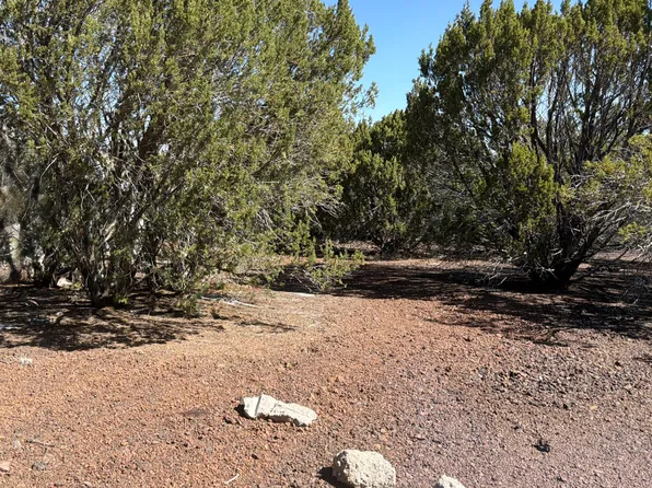 LOT 200 County Road 3189, Vernon, AZ 85940